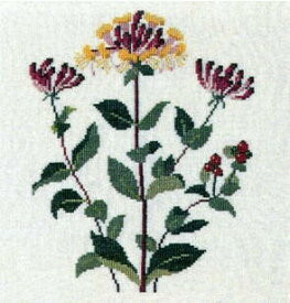 Honeysuckle