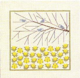 Winter Aconite