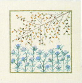 Eryngo