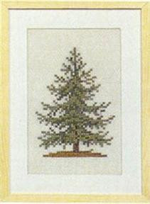 Spruce