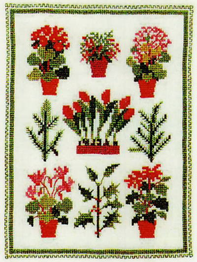 Christmas Plants