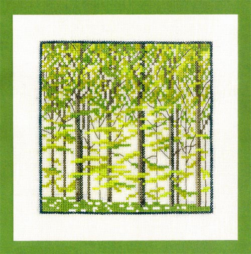 Beech Forrest