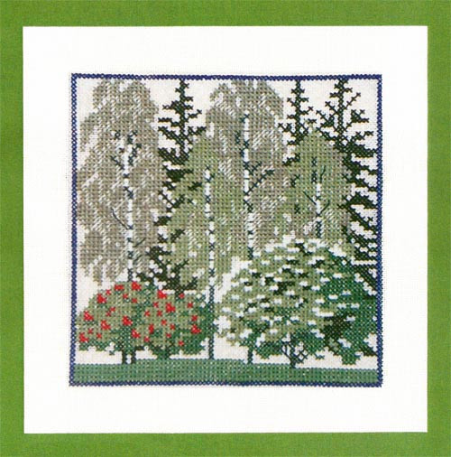 Birch Forrest