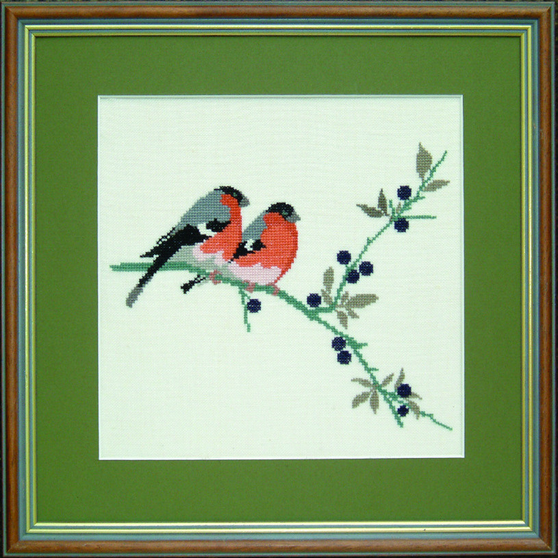 Bullfinch