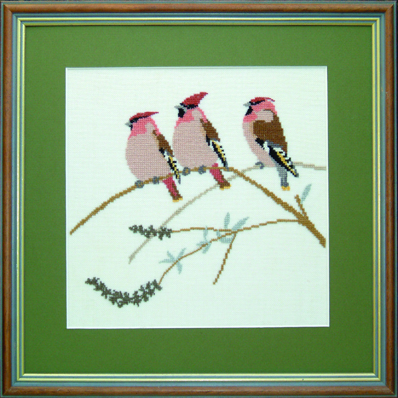 Waxwing