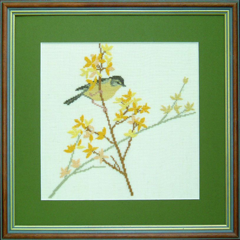 Willow Warbler