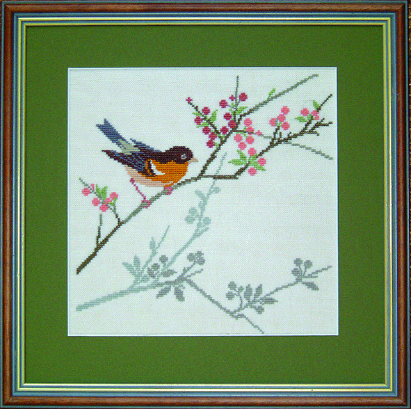 Brambling