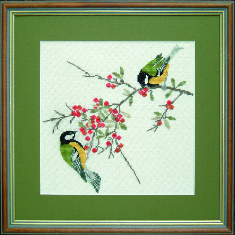 Great Tit