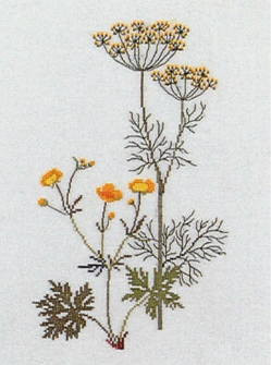 Dill and Buttercup