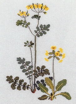 Celandine and Cowslip
