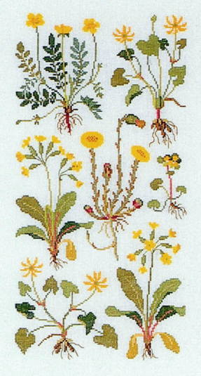 Yellow Spring Flowers