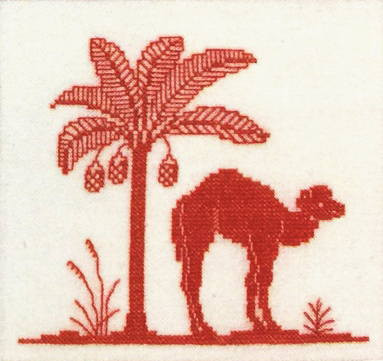 Dromedary and Date Palm