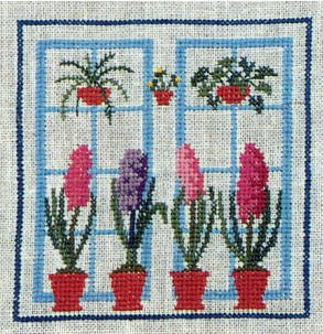 Hyacinth