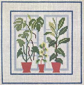 Philodendron