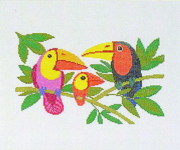 Toucan