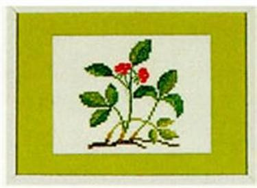 Stone Bramble