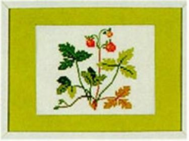 Wild Strawberry