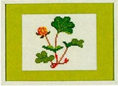 Cloudberry