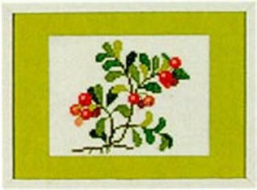 Lingonberry