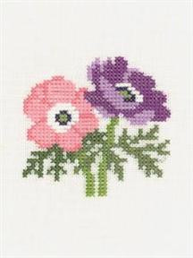 French Anemone