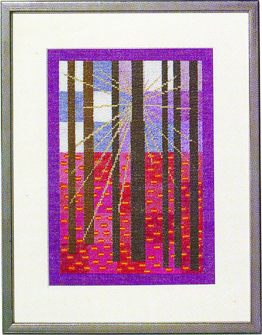 Summer Forrest