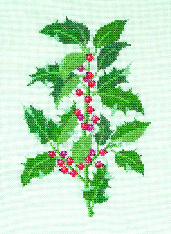 Holly