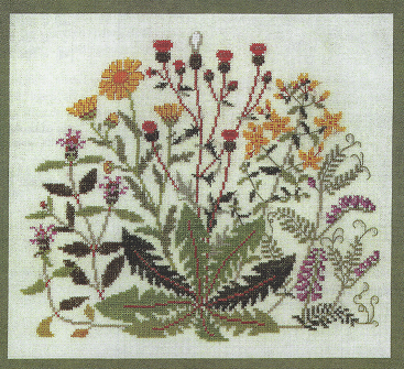 Flowers of August