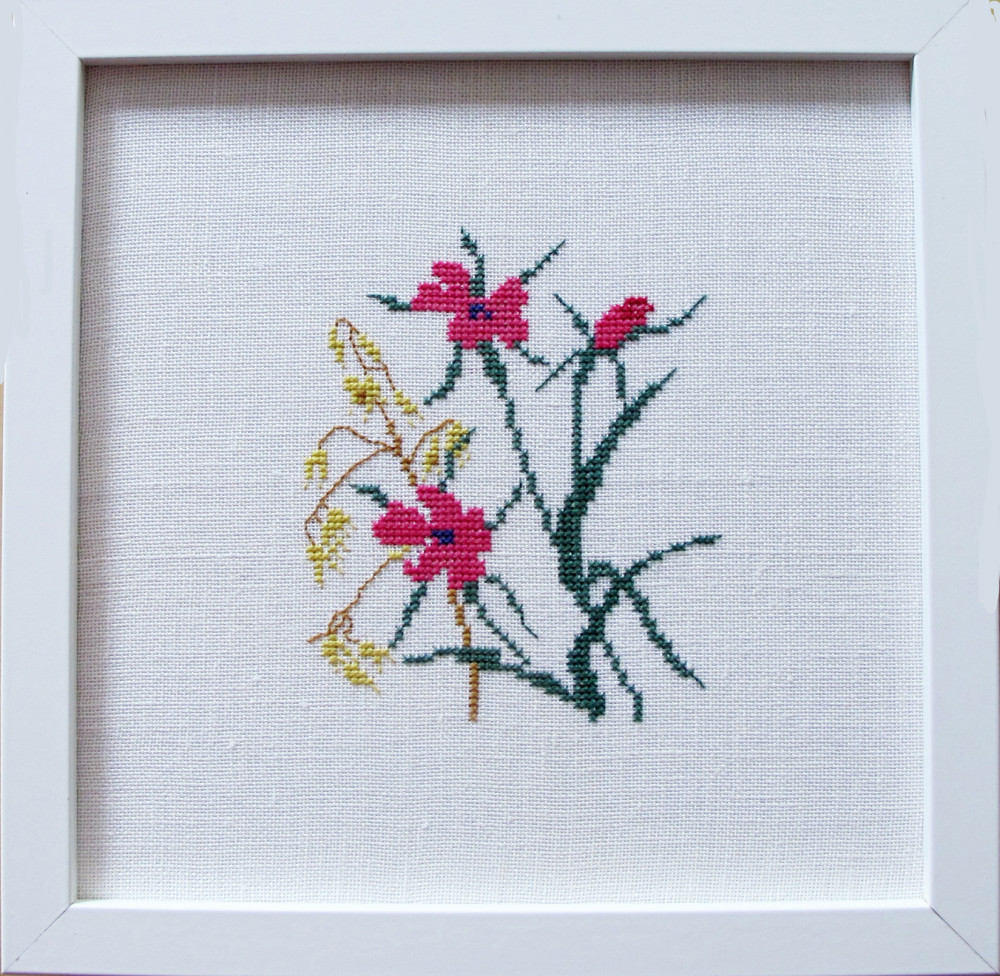 Oats and Rose Hip