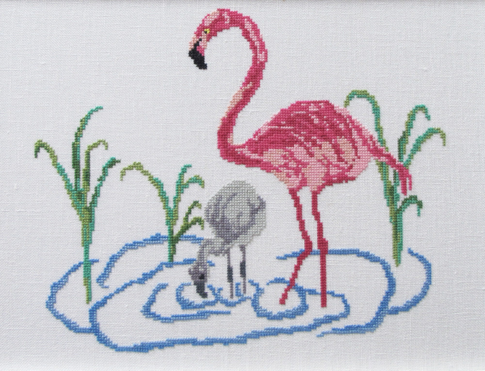Flamingo