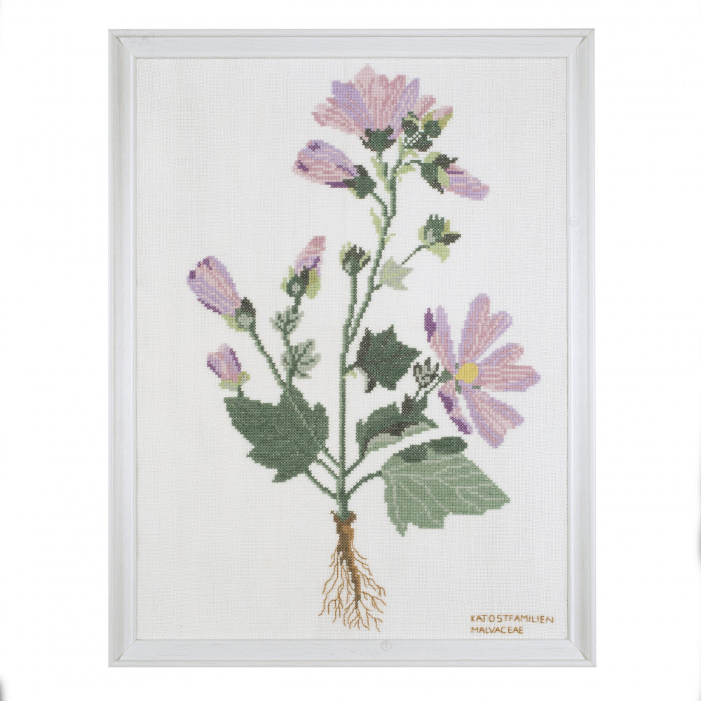 Mallow