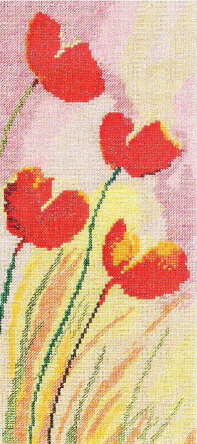 Tulips