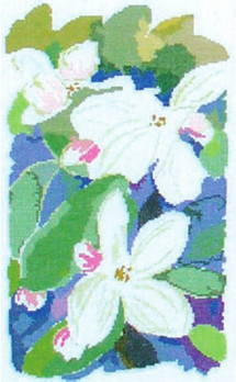 Blue Water Lily