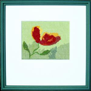 Poppy