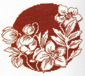 Christmas Rose