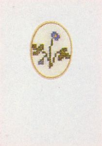 Pansy