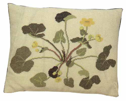 Marsh Marigold