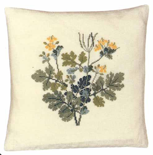 Swallowwort