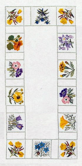 Summer Flowers