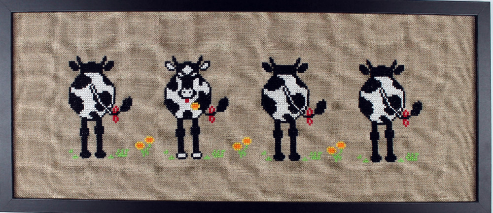 Cows in a row