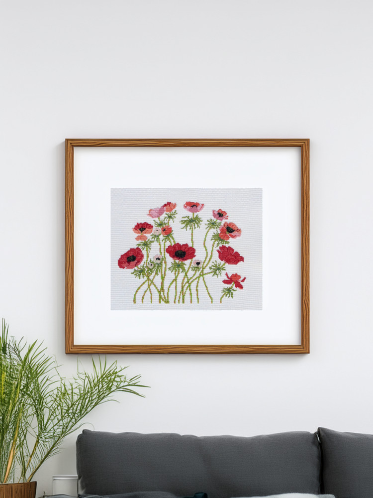 French Anemones