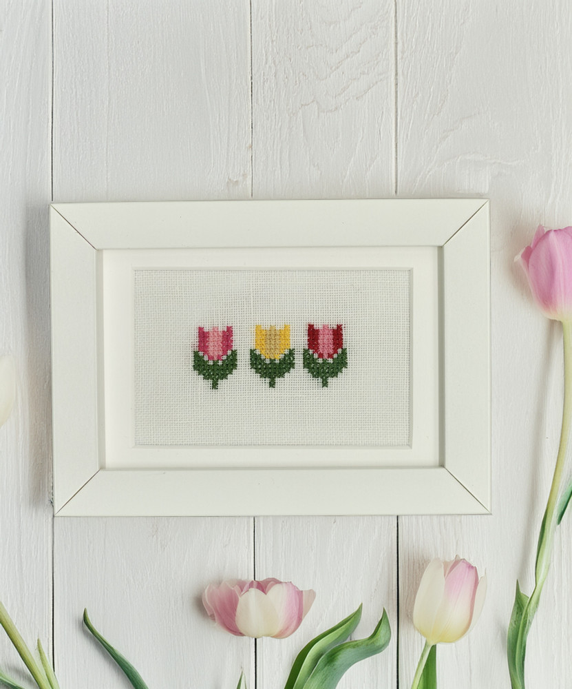 Tulips